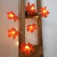 LED light string 10 light red maple leaf props maple leaf night light battery box